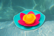 Плавающий цветок Quut Lili