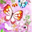 Раскраска «Блестящие бабочки» Djeco - купить раскраску блестящие бабочки Джеко в интернет-магазине Иркутск