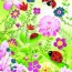 Раскраска «Блестящие бабочки» Djeco - купить раскраску блестящие бабочки Djeco в интернет-магазине Иркутск